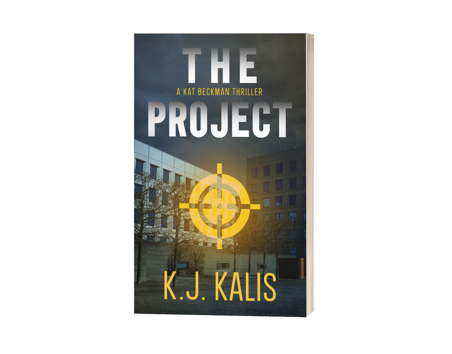 The Project Paperback